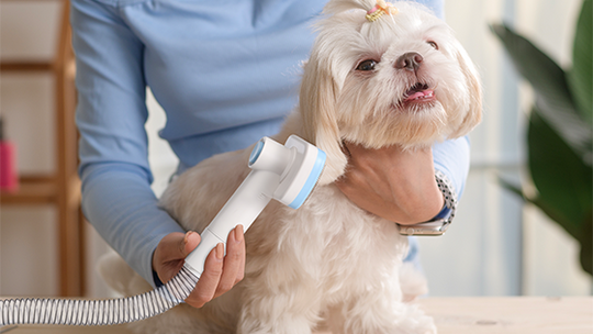 How to Prevent Your Pet From Being Scared by a Pet Grooming Vacuum