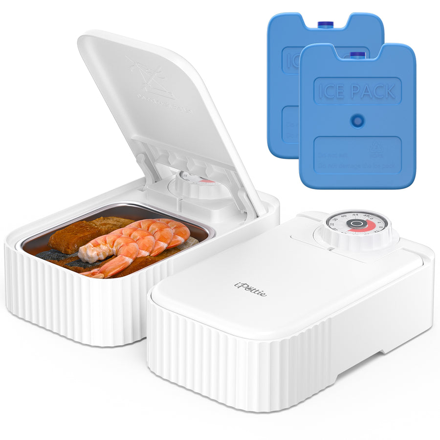 iPettie Bento Two Meal Automatic Pet Feeder with Ice Packs, Stainless Steel Bowls, White