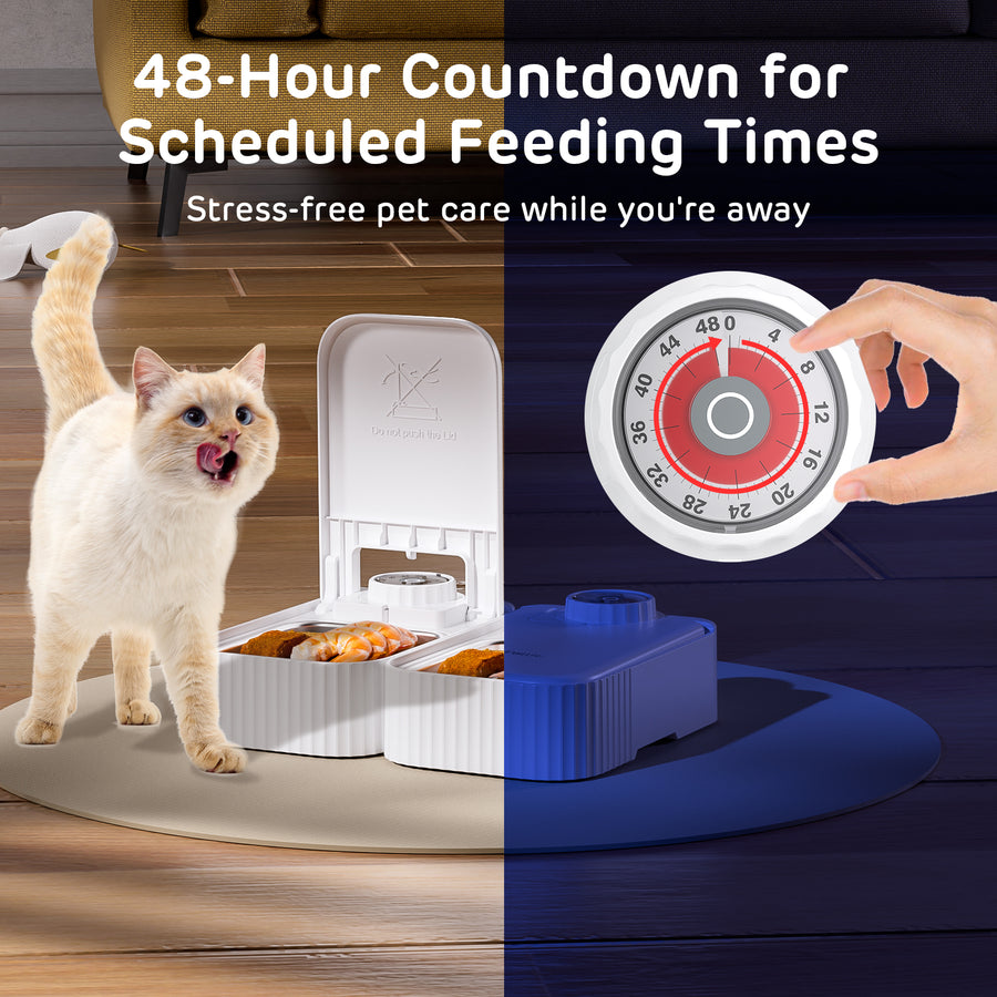 iPettie Bento Two Meal Automatic Pet Feeder with Ice Packs, Stainless Steel Bowls, White. A cat near an automatic pet feeder with a 48-hour countdown timer, illustrating scheduled feeding times for stress-free pet care.