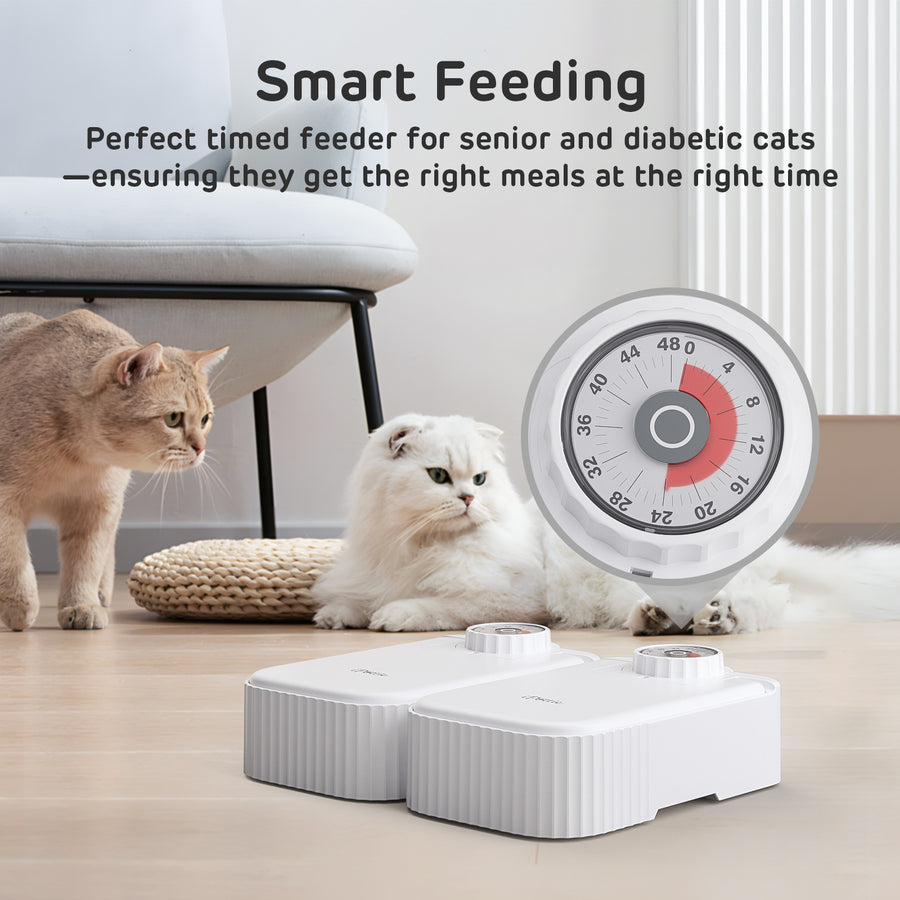 iPettie Bento Two Meal Automatic Pet Feeder with Ice Packs, Stainless Steel Bowls, White