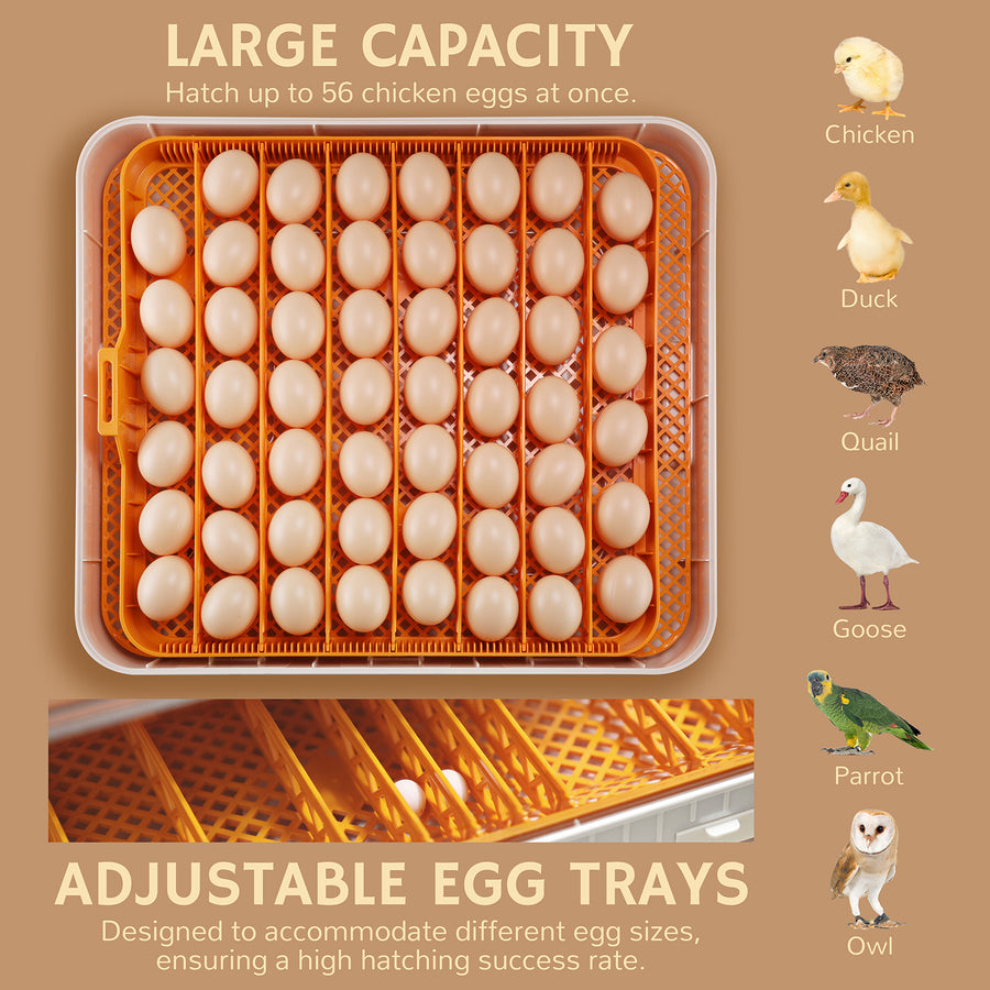 An egg incubator tray holding multiple eggs, with text highlighting its large capacity for hatching up to 56 eggs and adjustable trays for different egg sizes. Images of various bird species are displayed on the side.