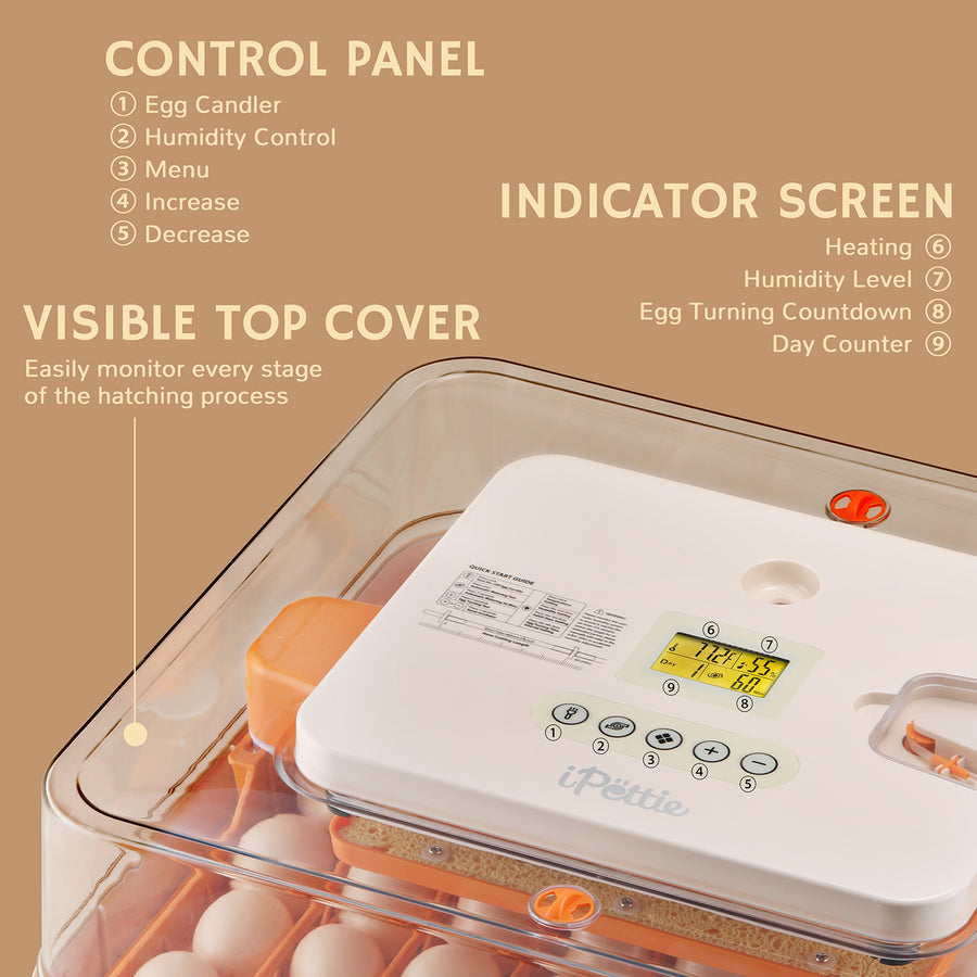 A close-up of an egg incubator's control panel featuring buttons for egg candling, humidity control, and settings, along with an indicator screen displaying heating, humidity level, egg turning countdown, and day counter. The visible top cover allows monitoring of the hatching process.