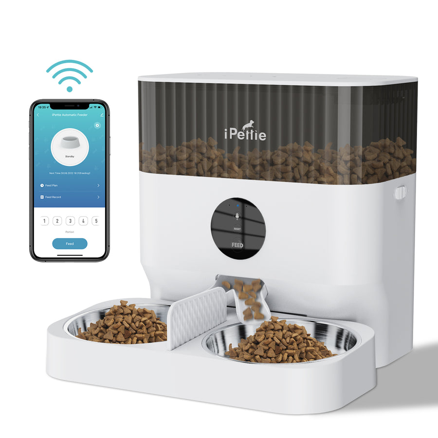 The 5 Best Automatic Pet Feeders of 2024, Tested and Reviewed